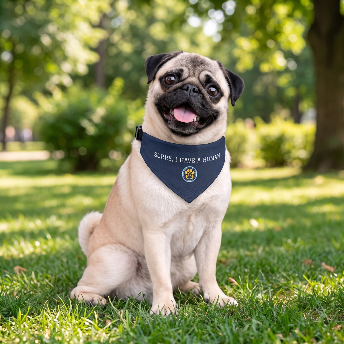 A fawn pug dog sitting on a grassy lawn in a sunny park, wearing a navy blue bandana that reads 'SORY, I HAVE A HUMAN' with a small crest logo.