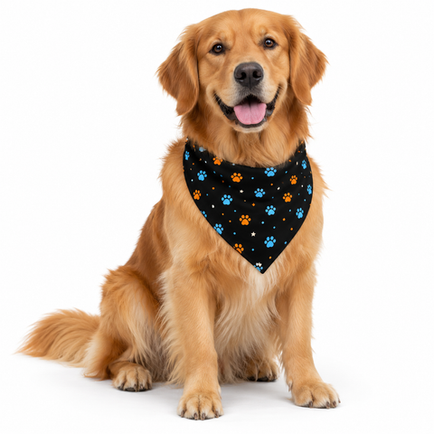 Pawcast Midnight Paws Bandana – Matching Style for You & Your Pup