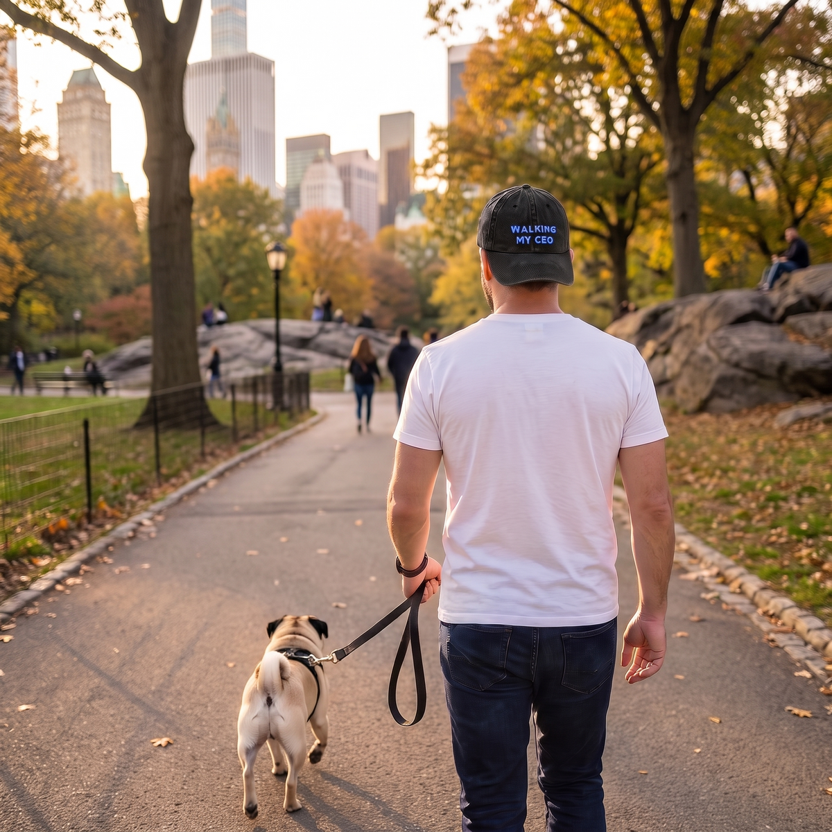A man wearing a white t-shirt, dark jeans, and a black cap with blue text walks a pug on a leash along a park path with autumn trees and city buildings in the background.