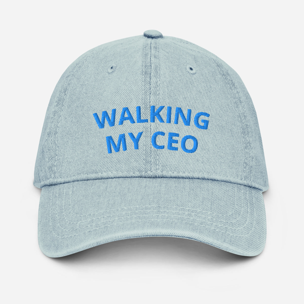 Light blue cap with text Walking my CEO and paw print logo on a white background